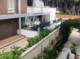 PuraVida 3