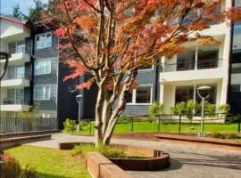 Departamento en Pucón