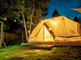 Glamping z alpakami
