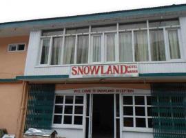 Snow Land Guest House Naran，位于纳兰恩的住宿加早餐旅馆