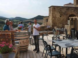 Au Château de Villelongue B&B，位于Villelongue-dʼAude的酒店