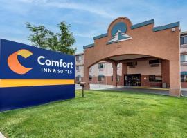 Comfort Inn & Suites，位于弗鲁塔的酒店