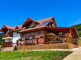 Pensiunea Balkan，位于Gornea的酒店
