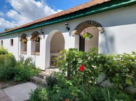 EVA HOUSE，位于Pačir的酒店