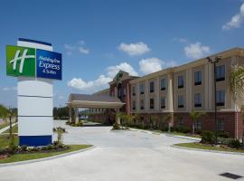 Holiday Inn Express & Suites Deer Park, an IHG Hotel，位于迪尔帕克的酒店