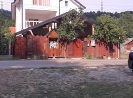 Casa Denisa Vidraru transfgarasan，位于Căpăţîneni-Ungureni的酒店