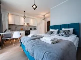 Drwinka Park Apartment