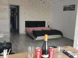 Studio Alina&Marius，位于布加勒斯特的酒店