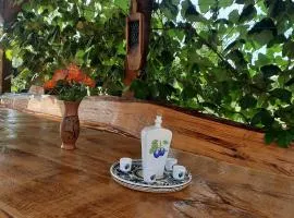 Holiday Apartman Ravna Dolina