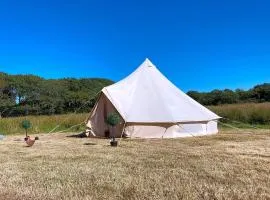 Coedmor Camping