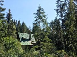 Enchanted Forest Chalet，位于塔特兰斯卡斯特拉的木屋