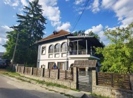 vila zia，位于科尔贝尼的酒店