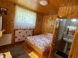 Vila Maria Dambovicioara