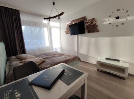 Studio 20qm mit Balkon und Innenpool - 22010，位于施卢赫湖的酒店