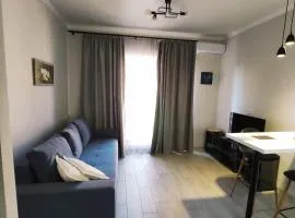 Небольшая уютная квартира вблизи Лузановки в Одессе