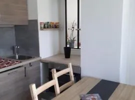 Studio en plein centre ville - 2 à 4 personnes