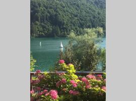 Casa a schiera fronte lago con giardino，位于巴尔奇斯的酒店