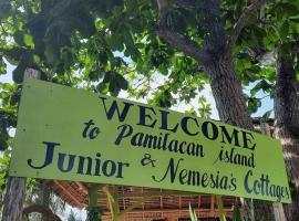 Junior & Nemesia's Cottages，位于Baclayon的酒店