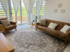 Coastal View Apartment