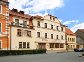 Penzion Panský dům，位于罗斯米塔尔帕德特雷姆西內姆的酒店