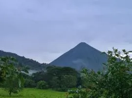 提奥菲利克斯经济山林小屋