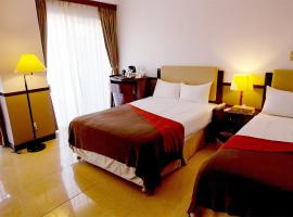 Lampo Hotel Higashi-son / Vacation STAY 76782，位于Arume的酒店