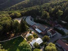 Domaine du Hirtz, Restaurant & Spa，位于Wattwiller的酒店
