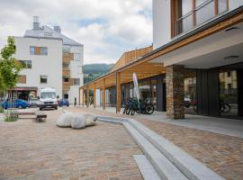 Horský apartmán Nový Javor - s možností využití wellness，位于泽勒兹纳·鲁达的酒店