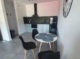 Apartamenty w Bieszczadach