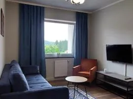 Apartament w Bieszczadach
