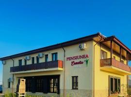 PENSIUNEA CAMELIA，位于Baia的酒店