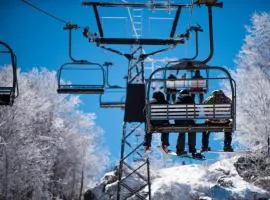 Beech Mountain Ski Suite