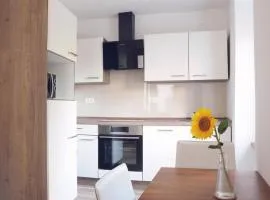 APARTMA KMETIJA ROVAN