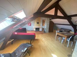 Beauregard attique，位于洛桑International Olympic Commitee headquarters附近的酒店