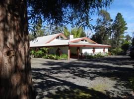 Lokahi Lodge，位于沃尔卡诺的山林小屋