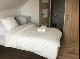 Apartment Oskar，位于Hošťka的酒店
