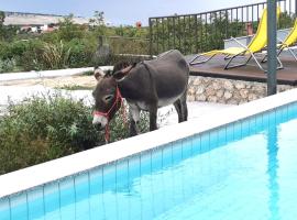 Villa Suzi Donkey farm with seaview，位于斯姆里卡的酒店