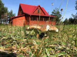 Czerwony Domek na Podlasiu przy lesie
