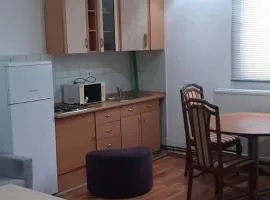 SOBE I APARTMANI HADZICI RENT rooms apartments