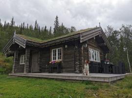 Liaplassen Fjellhytte，位于贝特斯托尔的酒店