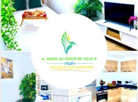 Oasis au Coeur de Ville Sens