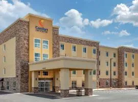 Comfort Inn & Suites