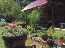 Domacinstvo Ubovic