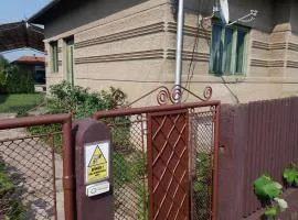 DOBRA RAKIJA - transit sleep