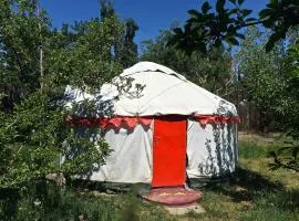 Arista Yurt Camp