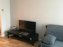 1-Bedroom apartment in city centre