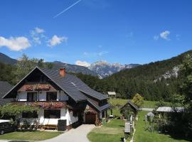 Apartmaji Preželj，位于博希尼的公寓