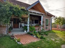 Amanet House Zasavica