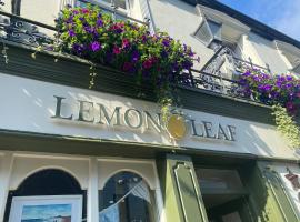 The Lemon Leaf Café Bar and Townhouse，位于金塞尔的旅馆
