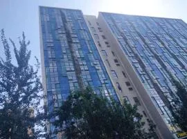 Chaoyang Joy City Hardcover Apartment